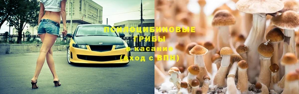 ПСИЛОЦИБИНОВЫЕ ГРИБЫ Бронницы